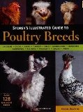Storey's Illustrated Guide to Poultry Breeds by Carol Ekarius Storey's Illustrated Guide to Poultry Breeds by Carol Ekarius